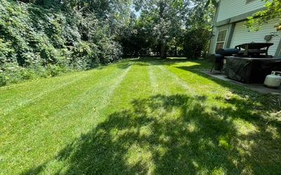 Photo of Logan E.'s yard after getting lawn care in Louisburg, NC
