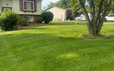 Photo of Anais R.'s yard after getting lawn care in Cortland, OH