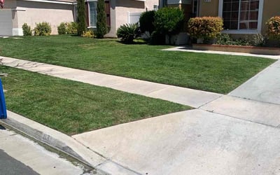 Photo of Reggie B.'s yard after getting lawn care in Corona, CA