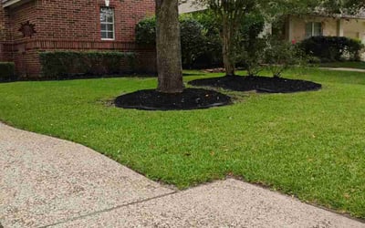Photo of Yoko I.'s yard after getting lawn care in Spring, TX