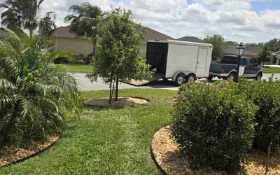 Photo of Steph S.'s yard after getting lawn care in Wildwood, NJ