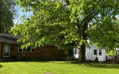 Photo of Crystal C.'s yard after getting lawn care in Bedford Heights, OH