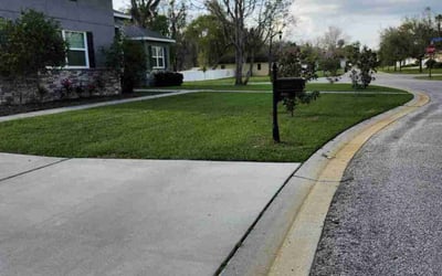 Photo of Morgan G.'s yard after getting lawn care in Seffner, FL