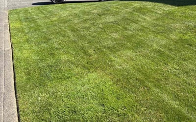 Photo of Erika U.'s yard after getting lawn care in Stanwood, WA