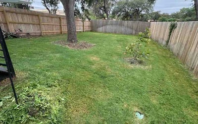 Photo of Mike M.'s yard after getting lawn care in Bridgewater, NJ