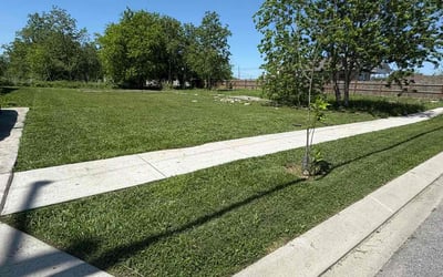 Photo of Bridget W.'s yard after getting lawn care in Ozone Park, NY