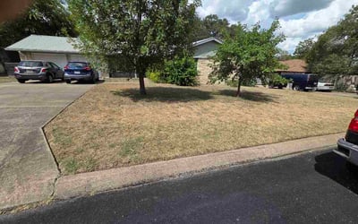 Photo of Kennedy R.'s yard after getting lawn care in Yulee, FL