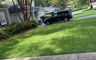 Photo of Peggy R.'s yard after getting lawn care in Oneonta, AL