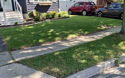 Photo of Lindsey N.'s yard after getting lawn care in New London, CT