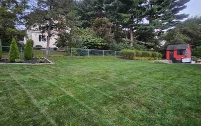 Photo of Lamin D.'s yard after getting lawn care in Bristol, RI