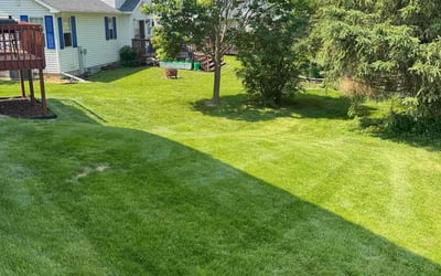 Photo of Matilda S.'s yard after getting lawn care in Sylvania, OH
