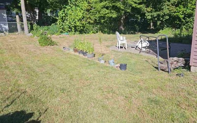 Photo of Tameka K.'s yard after getting lawn care in Clementon, NJ