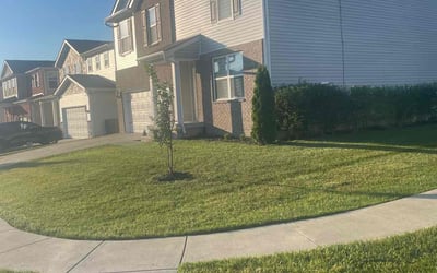 Photo of Kristine S.'s yard after getting lawn care in Shelbyville, KY