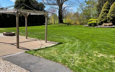 Photo of Jakia N.'s yard after getting lawn care in Coventry, CT