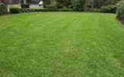 Photo of Julie H.'s yard after getting lawn care in Springfield, MO