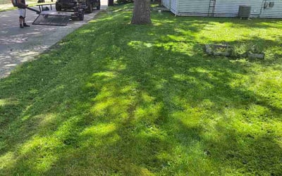 Photo of Jerrell Y.'s yard after getting lawn care in Theodore, AL