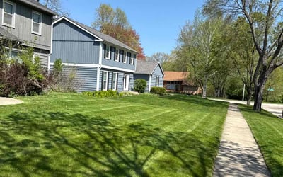 Photo of Ramsey C.'s yard after getting lawn care in Prattville, AL