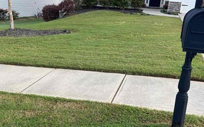 Photo of Matt C.'s yard after getting lawn care in Winder, GA