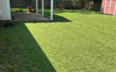 Photo of Jai B.'s yard after getting lawn care in Longview, TX