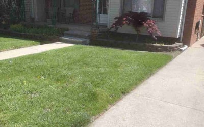 Photo of Sacillia D.'s yard after getting lawn care in Mc Kees Rocks, PA