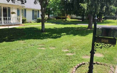 Photo of Dennis M.'s yard after getting lawn care in Lafayette, TN
