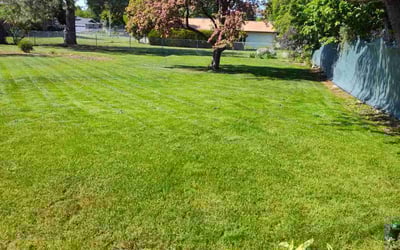 Photo of Deborah H.'s yard after getting lawn care in Gig Harbor, WA