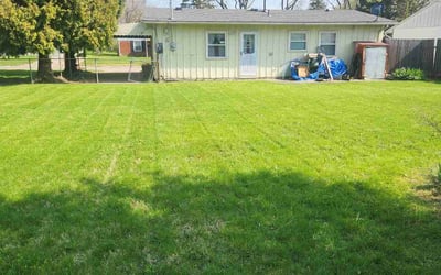 Photo of Mary J.'s yard after getting lawn care in Springfield, OH