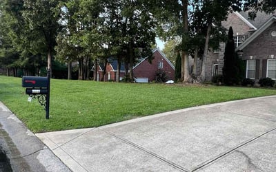 Photo of Alexis B.'s yard after getting lawn care in Waxhaw, NC