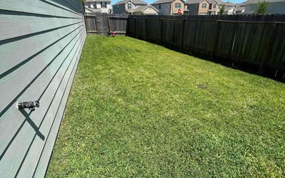 Photo of Loretta S.'s yard after getting lawn care in Lebanon, TN