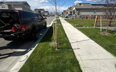 Photo of Tammy B.'s yard after getting lawn care in Mishawaka, IN