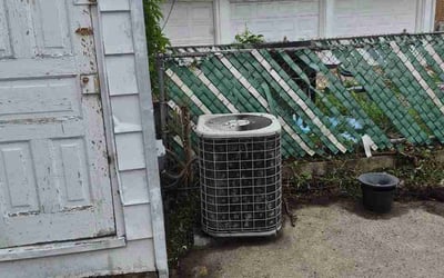 Photo of Dianna R.'s yard after getting lawn care in Belton, SC