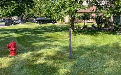 Photo of Carolyn C.'s yard after getting lawn care in Lincoln, CA