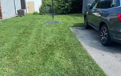 Photo of Michael N.'s yard after getting lawn care in Naples, FL