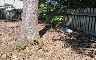 Photo of William F.'s yard after getting lawn care in Colleyville, TX
