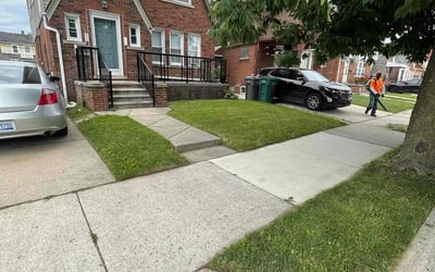 Photo of Ken S.'s yard after getting lawn care in Norwood, MA