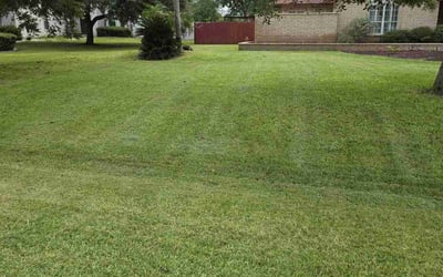 Photo of Melissa L.'s yard after getting lawn care in Harlingen, TX