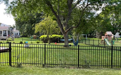 Photo of Kathy V.'s yard after getting lawn care in Okemos, MI