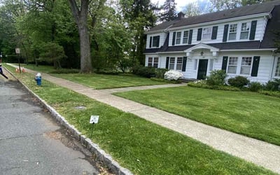 Photo of Kyna B.'s yard after getting lawn care in Lithia, FL