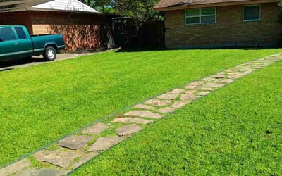 Photo of Nicholas L.'s yard after getting lawn care in Brownsville, TX