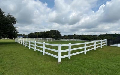 Photo of Will M.'s yard after getting lawn care in Brunswick, GA