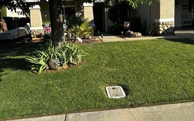 Photo of Joan J.'s yard after getting lawn care in Yuba City, CA