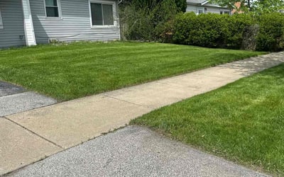 Photo of Jose D C.'s yard after getting lawn care in Burbank, IL