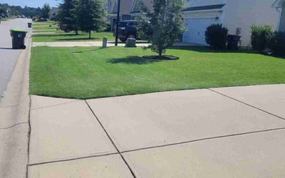 Photo of Harry L.'s yard after getting tree care in Saint Charles, MO