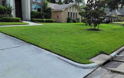 Photo of Jerico S.'s yard after getting lawn care in Abilene, TX