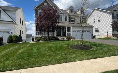 Photo of Betty M.'s yard after getting lawn care in Hatfield, PA