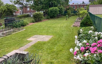 Photo of Jaise J.'s yard after getting lawn care in Philadelphia, PA