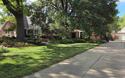Photo of Kim H.'s yard after getting lawn care in Willimantic, CT