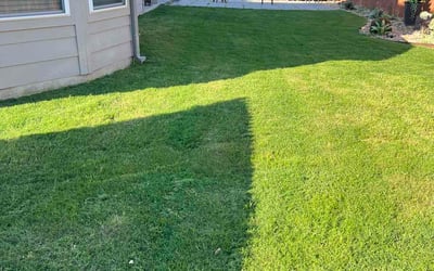 Photo of Jasmine M.'s yard after getting lawn care in Hillsboro, OR