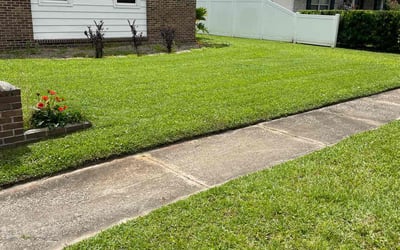 Photo of Rachi R.'s yard after getting lawn care in Palm Beach Gardens, FL