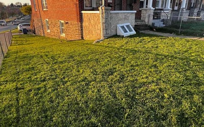 Photo of David P.'s yard after getting lawn care in Gwynn Oak, MD